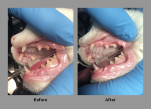 before-and-after